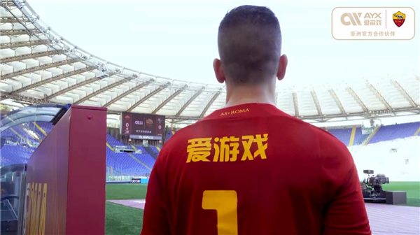 为今后的合